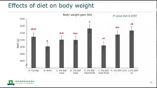 Insect based ingredients into diets of 1-Star Better Life broilers