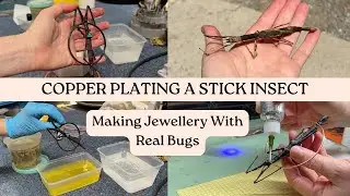 How I electroform a stick insect - Making bug jewellery using copper