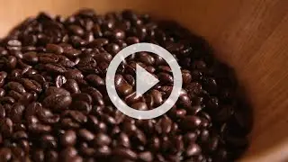 Adventures in Dining: Coffee Bootcamp