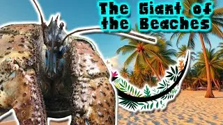 Coconut Crab | animal documentary