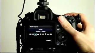 Учебное пособие по Canon EOS 60D, часть 15: Пользовательское меню функций, пункт 4: Эксплуатация ...