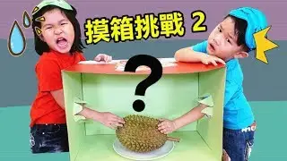 摸箱挑戰 猜猜看箱子裡面有什麼？好好玩喔！有榴莲和食物？一起玩觸感能力遊戲吧！玩具開箱 Jo Channel