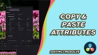 How to Copy & Paste Video Attributes in DaVinci Resolve 20
