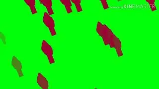 Cherry Blossom Effect Green Screen