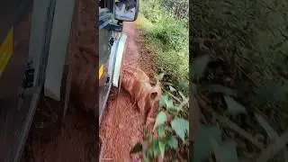 Jeep Safari in Kali Tiger Reserve #safari #karnataka #dandeli