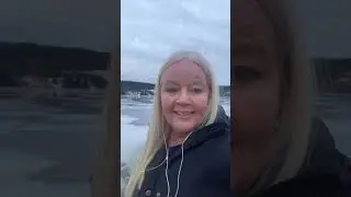 Avsløringen