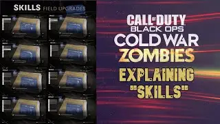 Best Skills To Use In Cold War Zombies!!! (Explained)
