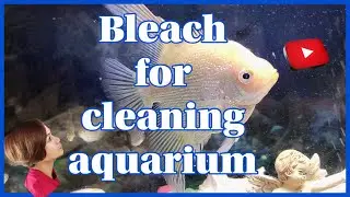 BLEACH FOR CLEANING AQUARIUM @E.Kodaira
