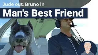 Man's Best Friend (GotFriends Avitar series) | MSFS 2020