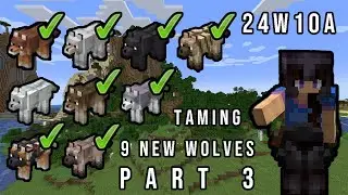 Can I Tame All 9 New Minecraft Wolves? (part 3) | Snapshot 24w10a | Monday Morning Bonus Stream