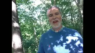 David Flees Jerusalem