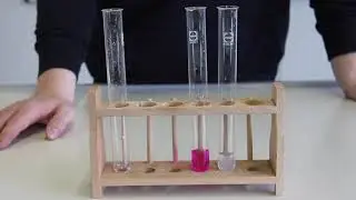 Enzyme - Hemmungen