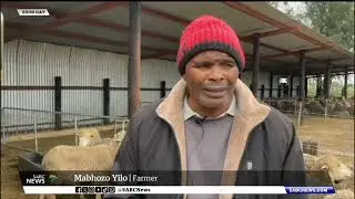 Violent stock theft incidents on the rise in Eastern Cape