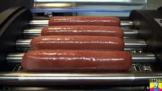 Hot Dog Cooker: Elite Gourmet Review