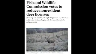Western Big Game Issues - Montana FWP Commissioner On Unanimous Decision to Cut Non-Res Deer Tags