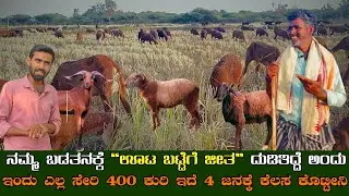 ನಮ್ಮ ಬಡತನಕ್ಕೆ ಊಟ ಬಟ್ಟೆಗೆ ಜೀತ ದುಡಿತಿದ್ದೆ ಅಂದು |ಇಂದು ಎಲ್ಲ ಸೇರಿ 400 ಕುರಿ ಇದೆ 4 ಜನಕ್ಕೆ ಕೆಲಸ ಕೊಟ್ಟೀನಿ