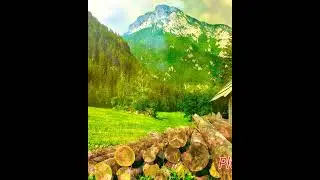 Nature Help to Reduce Anxiety & Stress | 24/7 Meditation Music | Soft Healing & Relaxaction Music