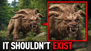 Animals Thought to Be Extinct That Are Shockingly Still Alive