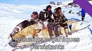 Pesticides, solvants... Les Polluants Organiques Persistants MaP#25