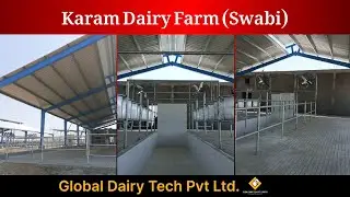 Karam Dairy Farm Swabi Completed Project By Global Dairy Tech | Dairy Farm Business