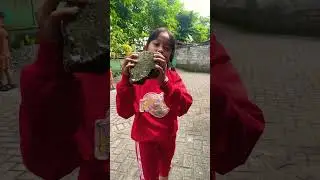 Bapak punya batu #comedy #memelucuuhuhuh #funny #komedi