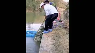 Atunci c&acirc;nd prinzi prea mult peste....nu rezista nici juvelnicul🎣 #peste #pescuit #juvelnic #feeder