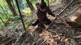 Single mother picks bamboo shoots for a living.  Attacked by forest people