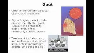 Ch 7 Diseases and Conditions of the Musculoskeletal System
