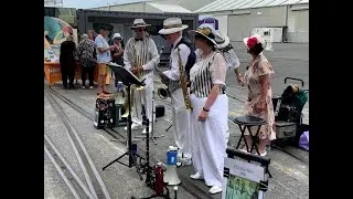 Feb 1 2020 Art Deco Napier NZ Shore excursion Ruby Princess pre-covid 19 NZ 6th largest urban area