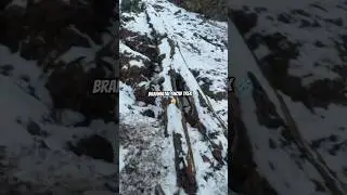 Brahmatal snow trek #brahmataltrek #snowtreks #uttrakhand #shortsfeed #shortsviral #youtubeshorts
