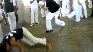 MESTRE DINO.avi