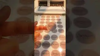 Paper Stickers Available in low Quantity of 100 pieces.  #apnaarthouse #artandcraft #sticker