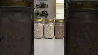 Meal Prep de avenas para la semana 🌿🤎✨ #recetas #recetasfaciles #vidavegana