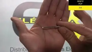 REBITE POP 314 / EL&Eacute;TRICA BICHUETTE