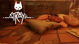 Stray | Part 2 | Exploring the Slums