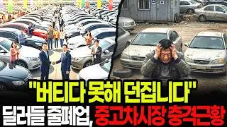 2026년 1월, 역대급 '자동차 무덤' 발생. 
