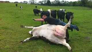 The cow who doesn't know how to defend herself from IceCLOWN | Warmane