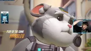 POTG! HARBLEU HAMMOND + ROADHOG GAMEPLAY OVERWATCH SEASON 24 TOP 500