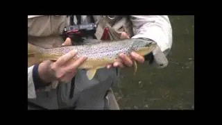Fly Fishing with Jim Misiura and Chris Walklet