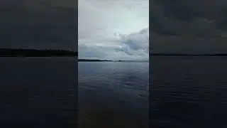 Forest Lake