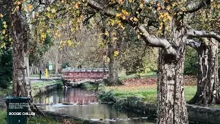 &lsquo;Boogie Chillen&rsquo; - British Short Film 2025