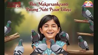 Patang Nahi Bas Pyar Udaye. Save the Birds from Strings.