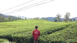 DJ ANGKLUNG FULL ALBUM SLOW TERBAIK ] DJ BARAT VIRAL FULL BASS 2020 - 2021