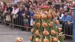 FIESTAS DEL PILAR 2017 Ofrenda de Frutos 4