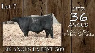 Sitz 36 Angus | February 27, 2026