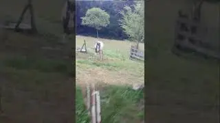 Takhle se to t&aacute;hne za jeden provaz.