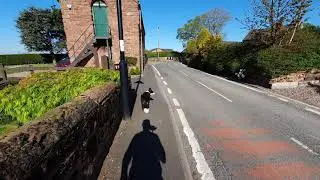 Cronton linear v2