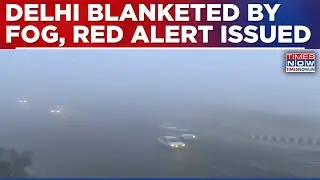 Delhi Choked By Dense Fog, IMD Issues Red Alert For National Capital, Several Flights Impacted