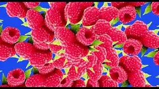Animated Raspberry fruit green screen/ Raspberry fruit animation Background