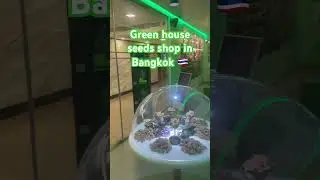 Green house seeds weed shop in Bangkok #thailand #travel #explore #cannabisdispensary